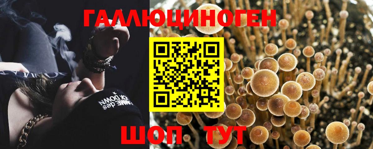 Псилоцибиновые грибы мухоморы Благодарный